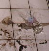  [02_toilet.jpg] 